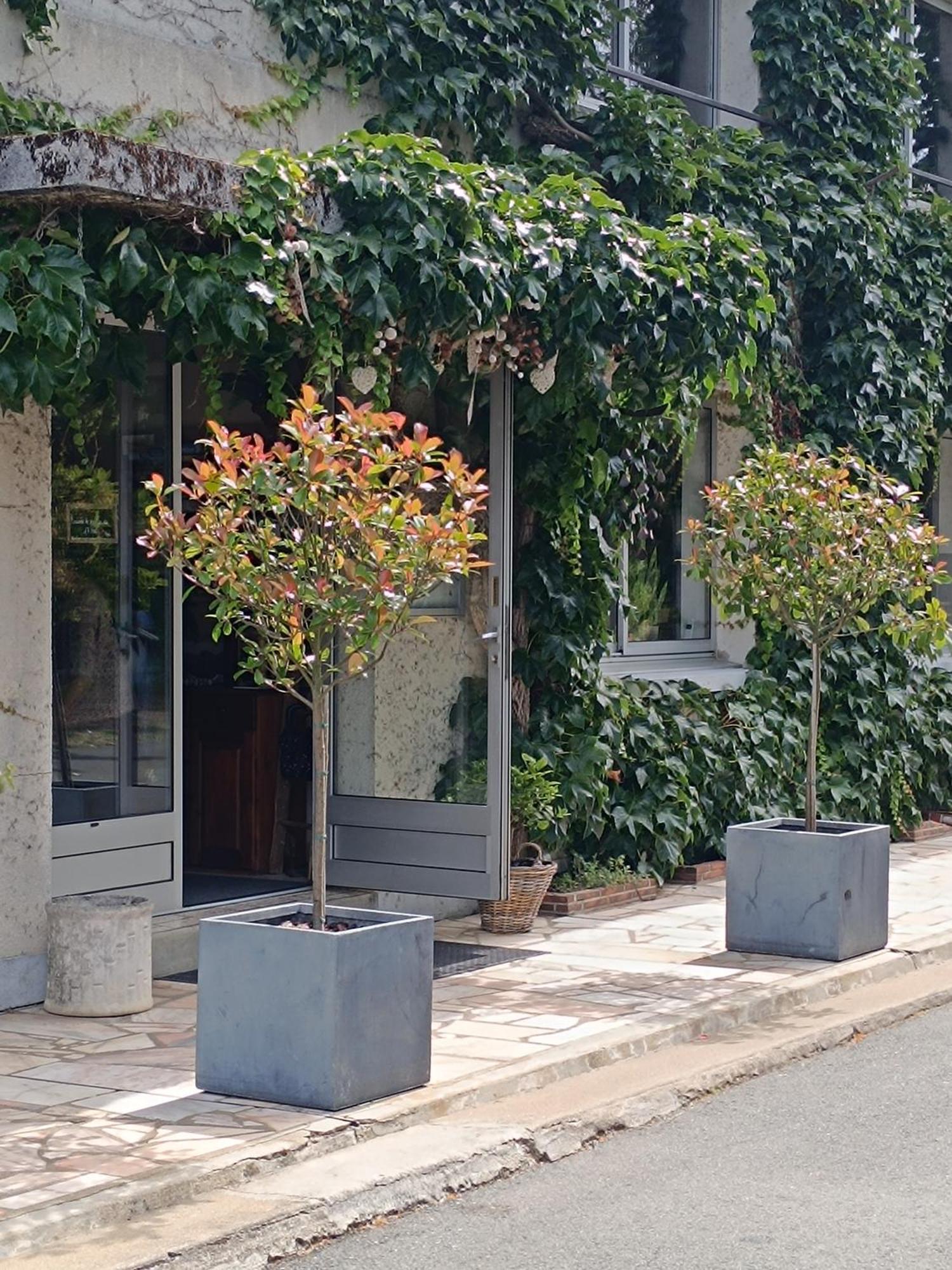 Vouvray-sur-Loir Chambres D'Hotes Du Port Gautier المظهر الخارجي الصورة